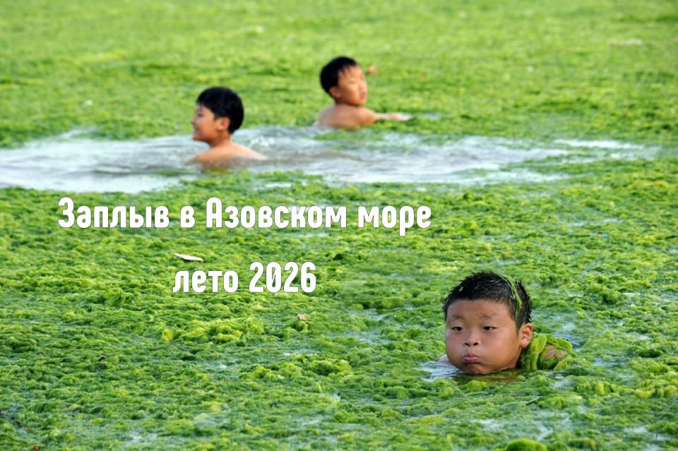 �������� ���� ������������ � ��������� ������ ��-�� ������� ����������