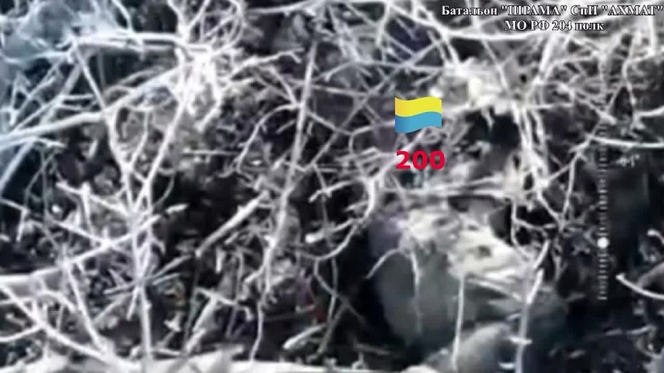 ������ �������: ����� ��������� ����� ������������ �������� �����һ �� �� @AptiAlaudinovAKHMAT ������� ������ ���� �� �������� ���������� �������� ���������� ������ ������� (���)