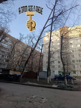 Аварийное дерево чуть не упало на ребёнка в Донецке!!!