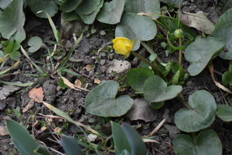 ����� �����: ������ ����, ������������� ������������� �����!