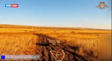 ����������� ���� ��� � ��������������