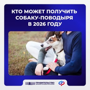 ��� ����� �������� ������-��������