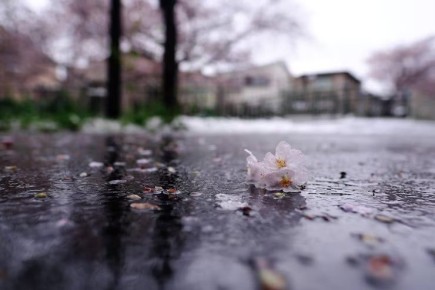 Гидрометцентр сообщает. 17 марта в Республике облачно с прояснениями, днем и ночью местами небольшой дождь