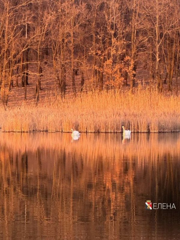 ����� ��������: ������ ����, ��������!. #�������� #������������������ #���������������