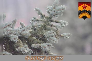 Александр Шатов: Гидрометцентр сообщил о погоде в Шахтерском округе