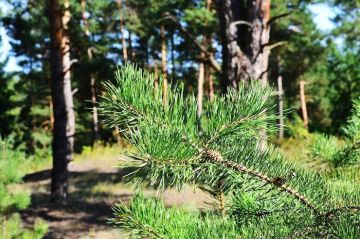 � ���������� ��� ������� �������� ������������� ����� ���������� � ������ ���������� � �������������� ������