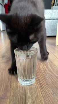 День подачи воды ощущается примерно так, особенно если погода хорошая (не в этот раз):