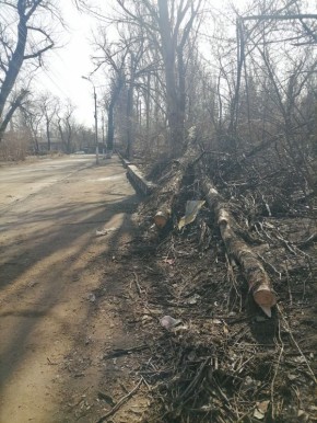 ��������������� ���������� ������ ��������