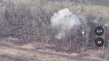 Расчеты FPV-дронов расправились с живой силой ВСУ в районе Гришино в ДНР