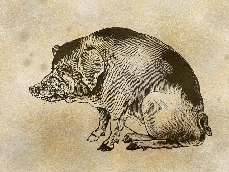 ���� ������: ����������� ���� ������ (���) � ��� ������� �����