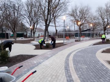 Борис Трима: Итоги рабочего понедельника от МБУ «СБ Вектор»