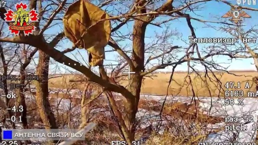 56 ����� ���������� �����, �������, ���� � ��� ��� � ����������, ��������, ����������� � �������