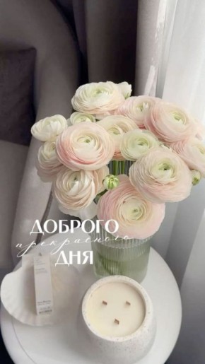 ������ ����!. ����������� ���� �������������