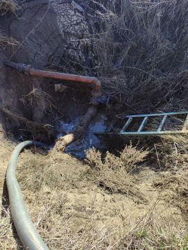 ������������� ����������� �������� ������������� ���� � ���������