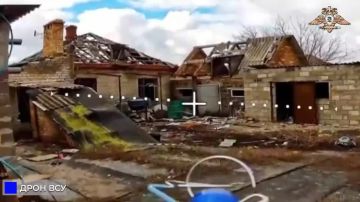 �������� 238 ������� ���������� ������ ��� �� ���������������� �����������