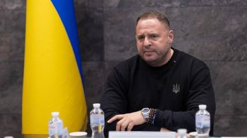 ��� ���� ������ � ���� � ���������� � ������� �������