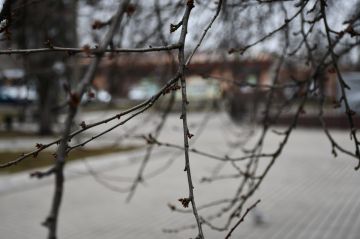 ������������� ��������. 18 ����� � ���������� ������� � ������������, ����� ��������� �����; ���� ���������, ������� ��������� �����