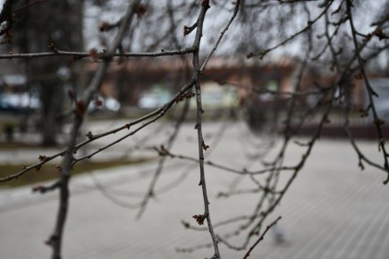 Гидрометцентр сообщает. 18 марта в Республике облачно с прояснениями, ночью небольшой дождь; днем небольшой, местами умеренный дождь