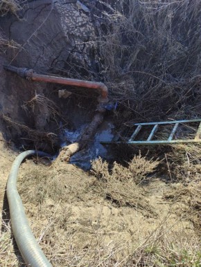 ������������� ����������� �������� ������������� ���� � ���������