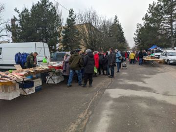 � ������� ����������� ������ �������� �������� �������