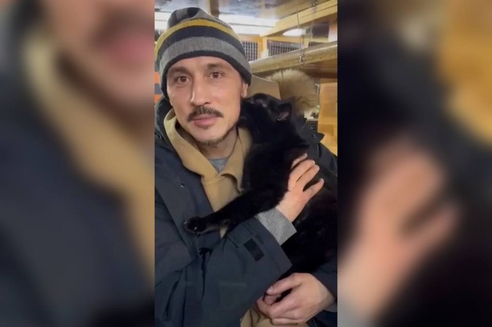 «Держится молодцом»: Дима Билан поделился новыми подробностями жизни своего кота, взятого в Донецком приюте