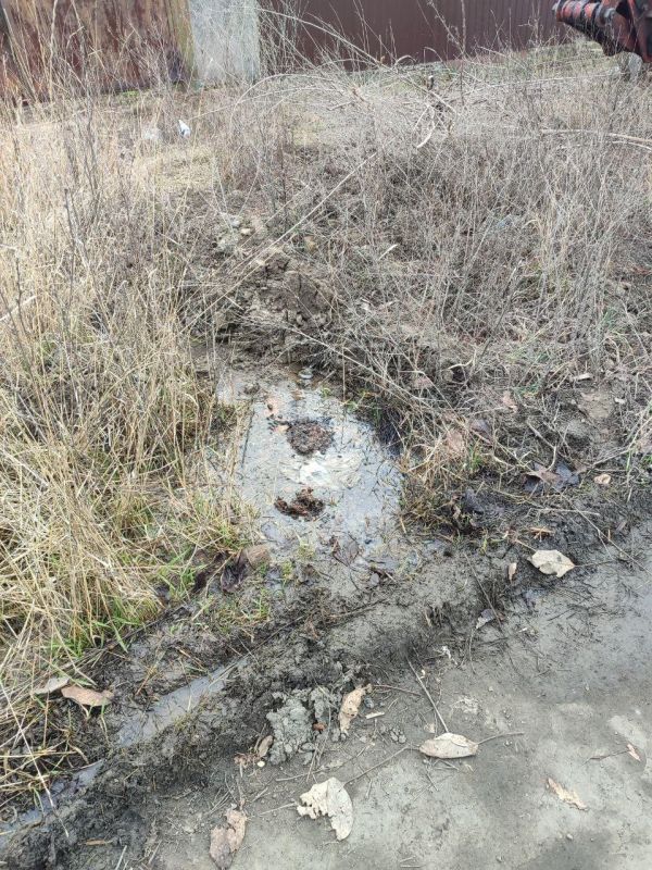 ����� �����: �� ����� ������� ��������� ������ �� �������� ����������� ��������� ������������� ��������� 200 ��