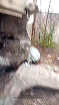 ������������ ��� M577 �� ���� ��� �113 � �������� ��� �� �������� �����������