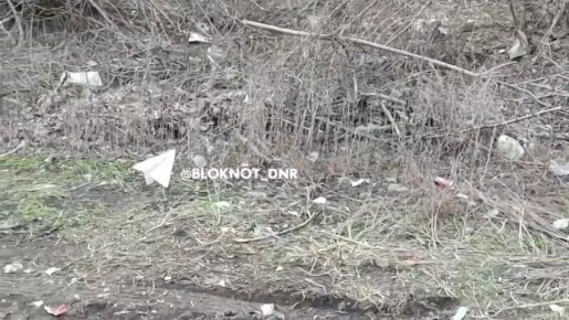 ���������������� ������� �������� �������� ������������: ������ ���������� �� ������� ������ ���