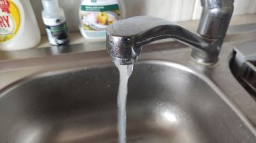 � ������������ ���������������� ��������� #���� � ������� ������ ���� 1 ��� � 5 ���� �� ���������� ���