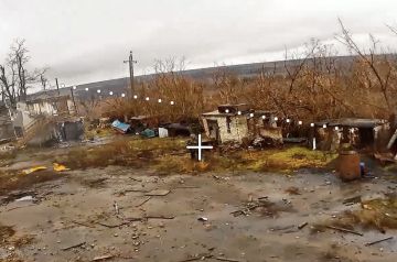 ��������� ������������ ������ ������ ���������� ���� � ��������������