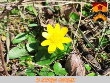 ��������� �����: ������������� ������� � ������ � ���������� ������