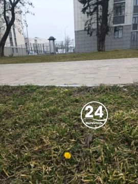 ����� ������������ �������� � ���� �����!