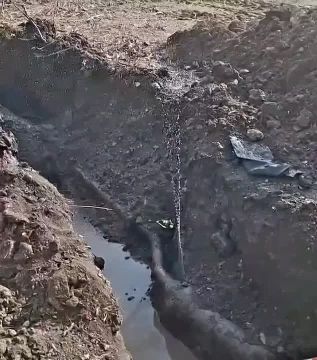 ��������� ���������� � �������� ������������� ��������������� ��� �������