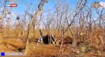 ����������� ������ �� � ������� ��� � ������� � �������