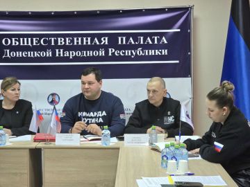 Ключевые направления поддержки участников СВО