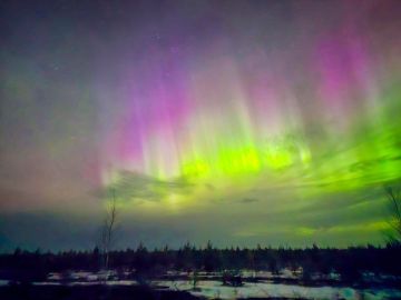 �������� ������ ��������� ������ ������ � ��� ������ � ������� ������� �� ������, ����������, ������� ���������, ������������� � ������ �������