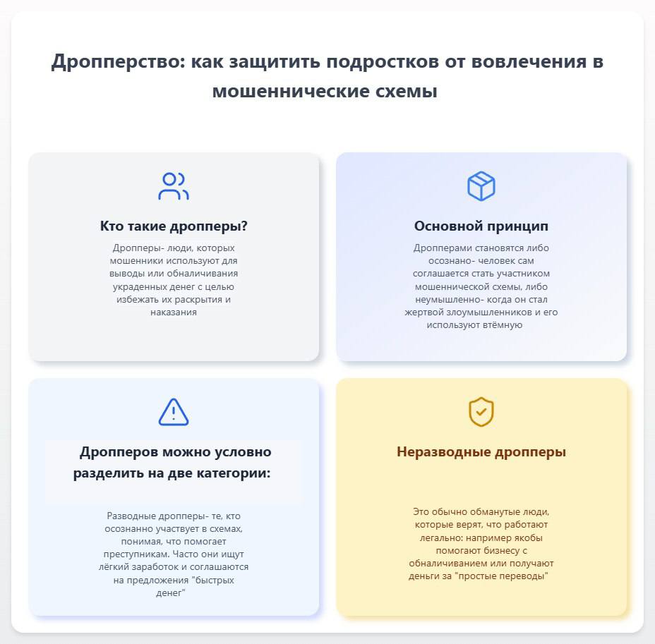 Денис Зубов: Дропперство: растущая проблема