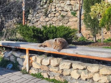 23 марта в республике переменная облачность, без существенных осадков