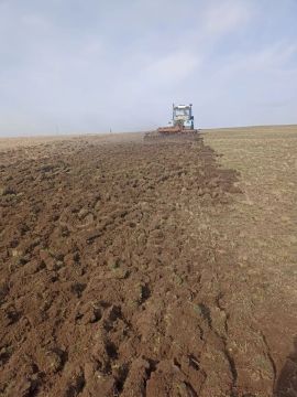 ������� ����������: � ������������ ������� ������ ��������������� ������������ ������� �� ������ ���� � � ����� ������ ��� �������� ������ ���������������� �����