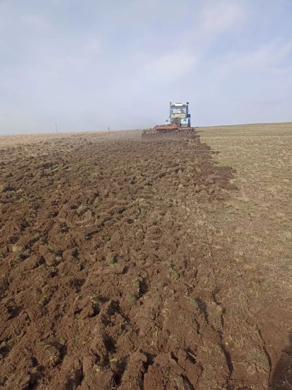 ������� ����������: � ������������ ������� ������ ��������������� ������������ ������� �� ������ ���� � � ����� ������ ��� �������� ������ ���������������� �����