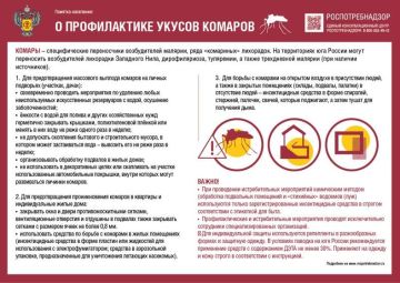 ����� �������: ��� �������� ���� � �������?