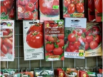 � 30 ������ �� 20 ����� 2026 ���� ����������� ����������������� �� ��� � ��� ��������� 10 �������� ������������