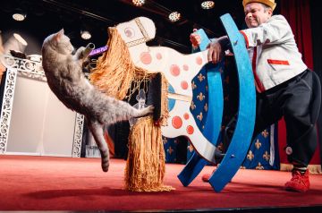 ����� �� �������� ������������ � ������ ���������