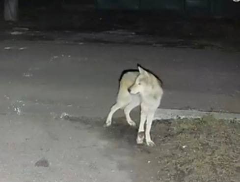 ������� ����� � ��������� ������ ����� ���Ի
