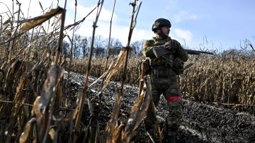 �� �� ���������� ������� ����������� � ��� � ����������