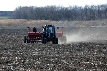 � ������� ���� � ��� ����������� ������ �� �������������� �������������������� ������