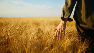 ������ ����� ������ ��������� ��� �� �������� �����������, ��� �������� ������ �������� ����������� ��������� � �� ������������ � �������� �� ������� ������������ �����������