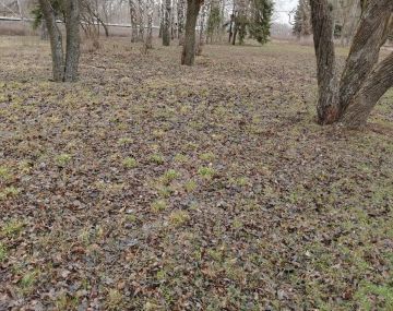 24 �����, � ������ ����������� �� ��������������� � �������-������ ������ ������ ����������� ��������������� ������� ���������-������������� ��������� ������ �� ������ ���������� ������ ��������������