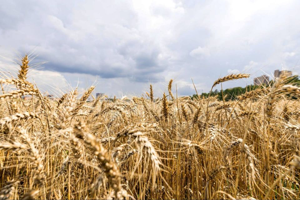 ���� � ��� ����� ������������� �� ������ ����� ���������������: ���� �� 2026 ��� ��� ���������