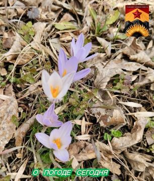 ��������� �����: ������������� ������� � ������ � ���������� ������